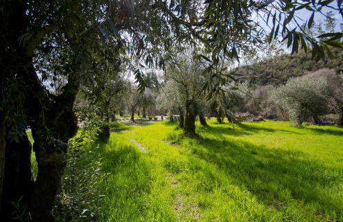 Xisto Sentido - Foto 31