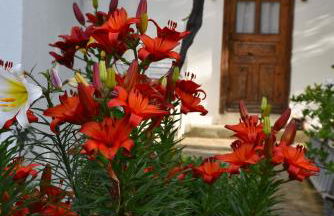 Mirsini Apartments - Foto 65