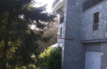 Panoramic Eagle - Photo 8