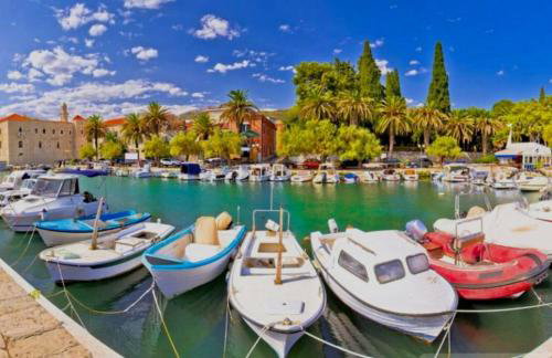 Žunić Apartman - Photo 23