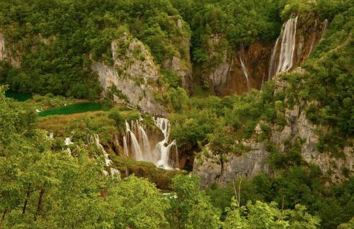 Afrodita Wellness Essence - Foto 42