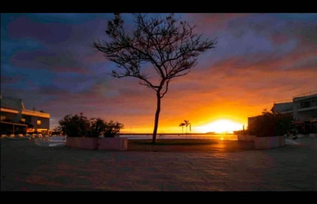 Aria Ocean 159 Flamingos - Foto 19