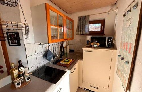 Blick In Den Garten - Foto 5