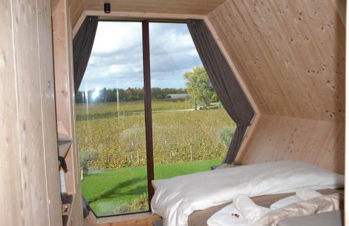 Glamping Alvearium Alturis - Foto 37