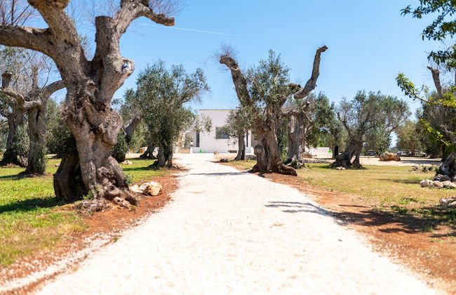 Stunning Villa Surrounded by Olive Trees - Beahost - Foto 31