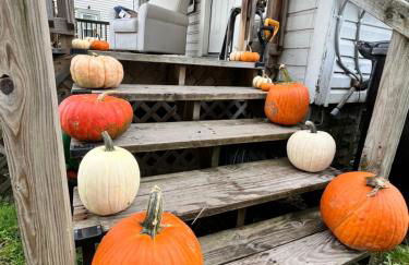 Cozy apartment Liverpool NY - Foto 6