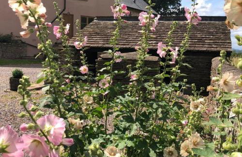 2 Bed in Chepstow oc-95046 - Foto 30