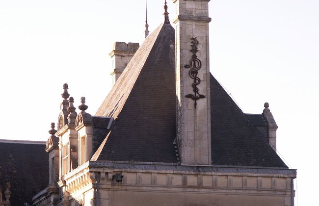 Château de la Court d'Aron - Foto 44