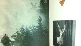 Schwarzwaldliebe Neuried 20 Min zum Europa Park - Foto 5