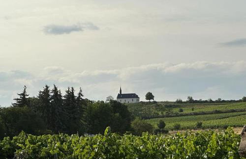 Casita grün - Photo 23