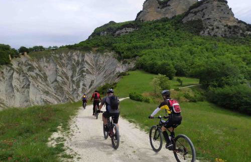 La Mimosa - Photo 40