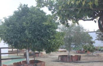 Vila Natura - Foto 17