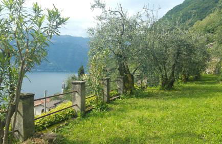 Gli Ulivi di Nesso - Foto 1