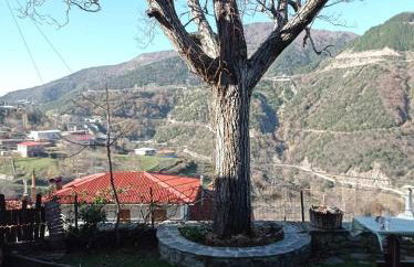 ΟΡΕΙΝΟ ΟΝΕΙΡΟ - Foto 54