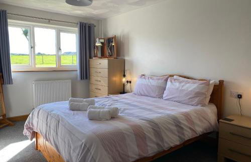 Buena Vista - Foto 14