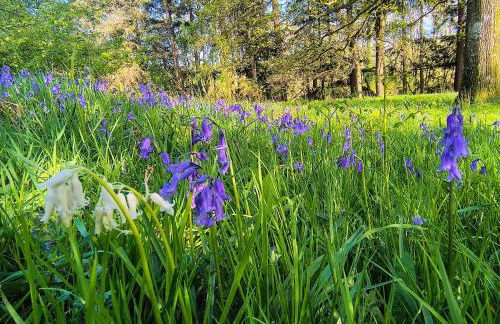 Tranquil getaway near Brecon Beacons - Photo 3