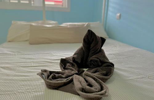 Casa Paoli - Foto 15