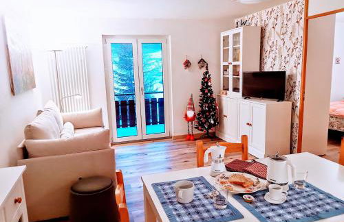 Casina Alpina sugli impianti Passo S Pellegrino - Foto 2