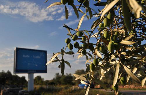 Apartman Ostrea *** - Foto 43