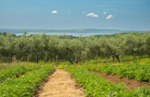Borgo del Mastro è la vostra vacanza bucolica! - Foto 26