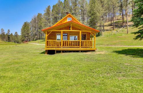 Remote Custer Cabin with Fire Pit and Near State Park! - Foto 21