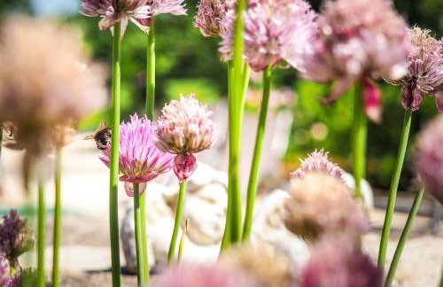 Holiday Home in Saint-laurent-de-la-salle With Pool - Foto 108
