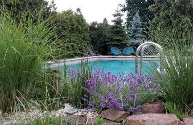 Ferienhof Elbauenblick - Foto 4