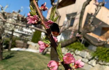 Moar am Ort - Foto 10