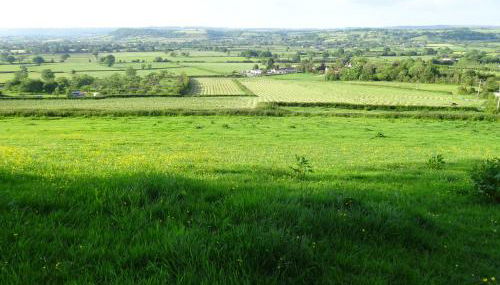 The Lazy Shepherd - Foto 4