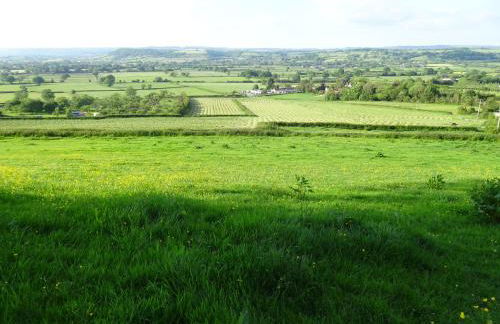 The Lazy Shepherd - Foto 4