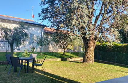 Casa Viale Delle Rose - Foto 23