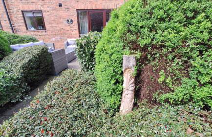 Osprey Meadow Holiday Cottages - Foto 30