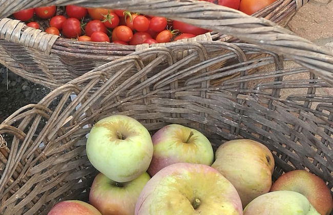 Agriturismo Di Là dall'Acqua - Foto 24