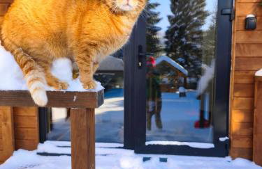 Wetlina 21 - Foto 45