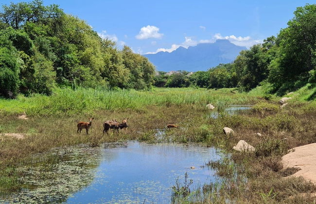 Villa Scarabee in Hoedspruit - Foto 12
