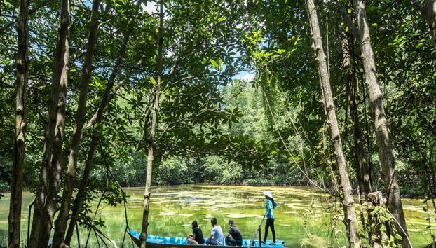 Vam Sat Mangrovenwald-Tour ab Ho-Chi-Minh-Stadt - Foto 4