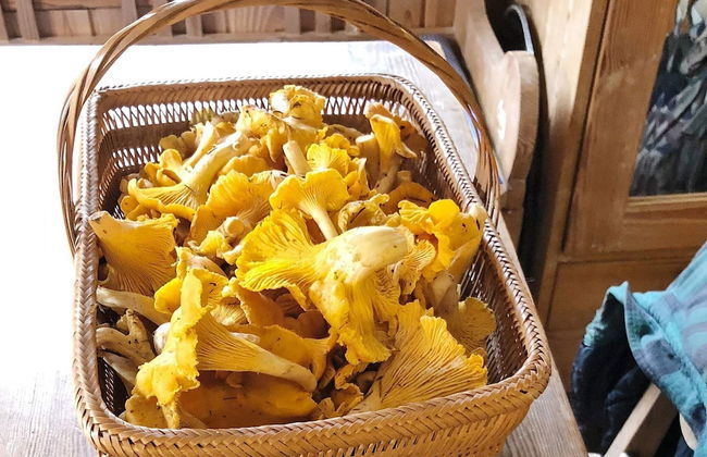 6 Person Holiday Home in Tocksfors-by Traum - Foto 16