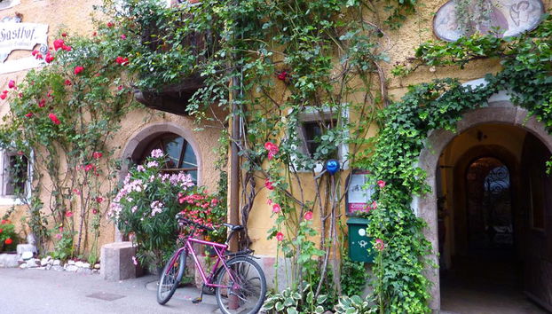 Recorrido a pie privado por Hallstatt - Foto 2