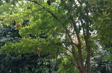 CASA ELSA Charming Apartment - Foto 2