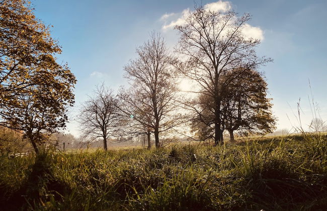 Capella Cottage, 2 Bedroom, Sleeps 4 - Photo 13