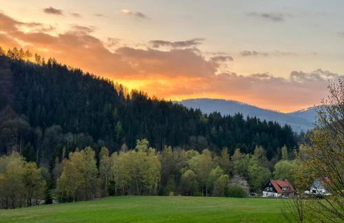 Schöne Aussicht! - Foto 15