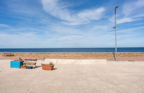 Tasa tiago - Foto 24