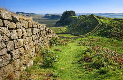 Market View 1 - Foto 7