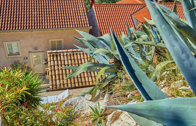 House Agave - Foto 21