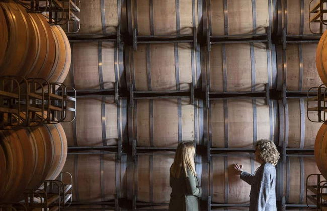 Visita a las bodegas Marqués de Cáceres - Foto 1