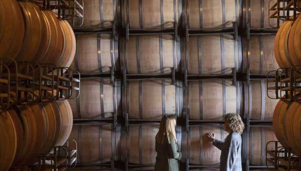Visita a las bodegas Marqués de Cáceres