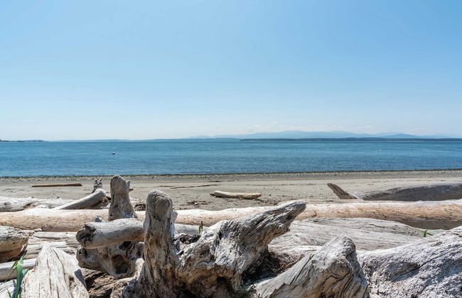 Smugglers Lagoon Beach Cottage by Avantstay - Foto 10