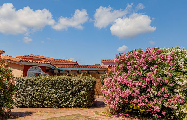 Trilo 6 - Lu Nibareddu - Foto 4