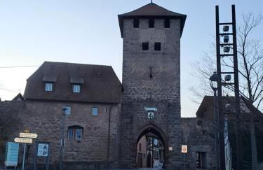 Gite premium, au Cœur de l'Ours - Foto 35