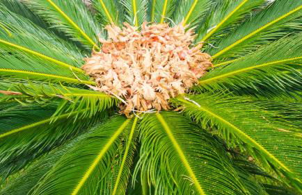 Quinta do Torcaz - Foto 93